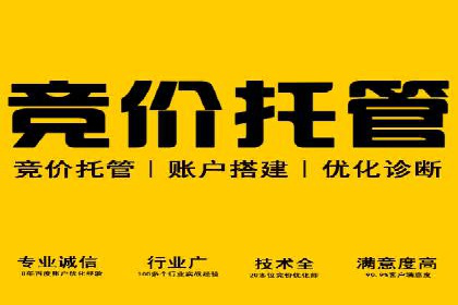 SEM推广竞价案例：助力企业业绩增长